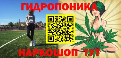 прущие крисы Малгобек