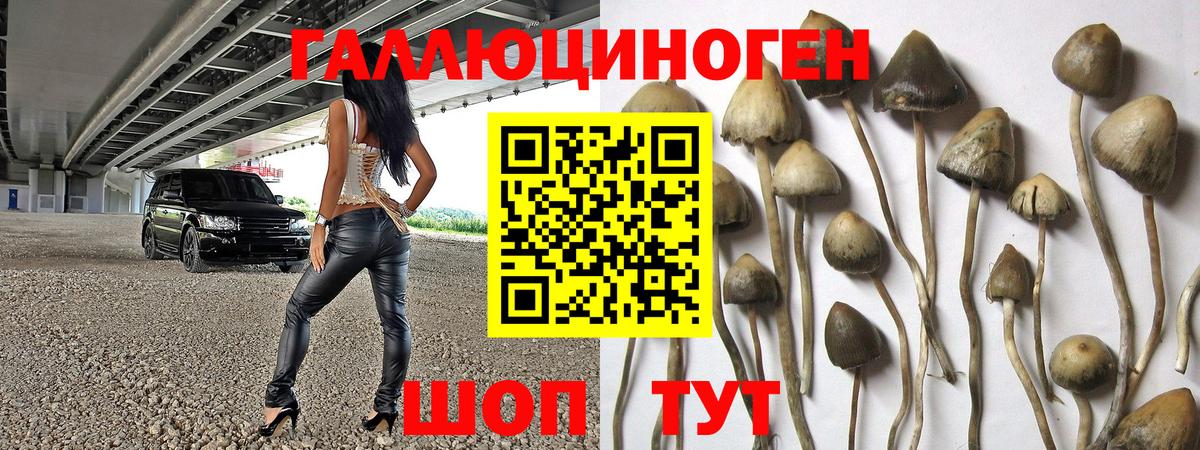 Галлюциногенные грибы мицелий Черняховск