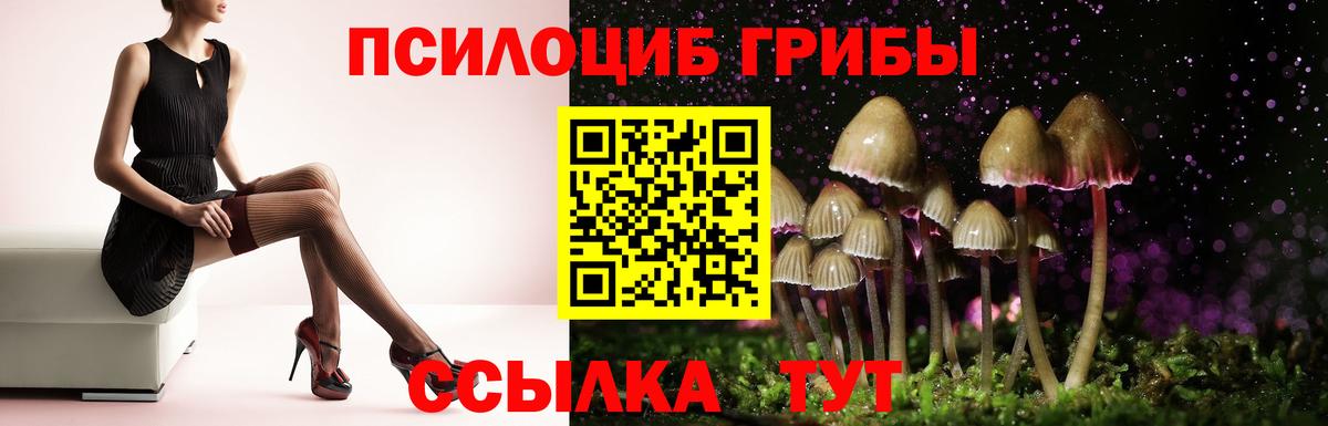 Псилоцибиновые грибы мицелий  Вход с VPN  Черняховск  Галлюциногенные грибы Cubensis 